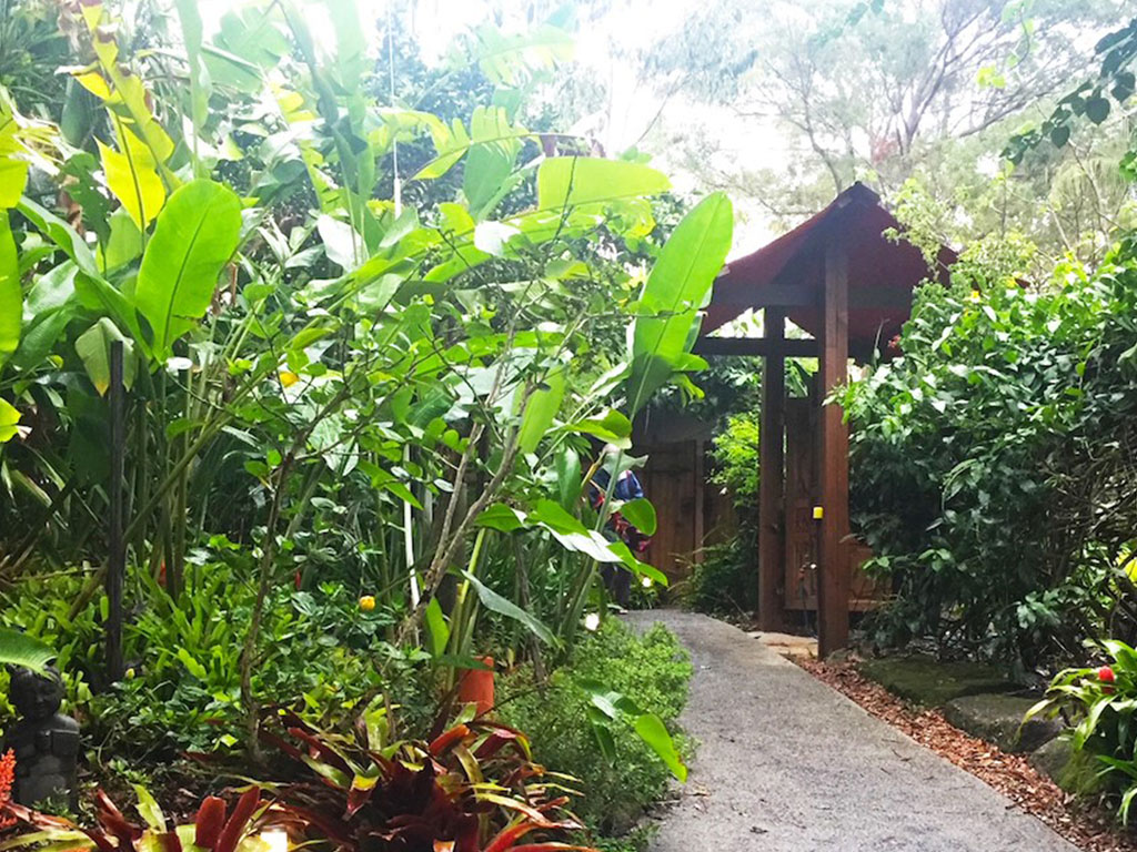 Sangsurya Retreat Event